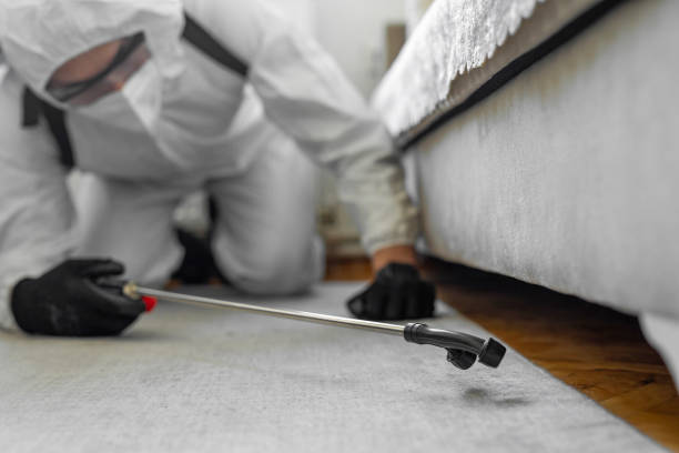 Professional Bed Bug Control technician working in Chesterfield, IN